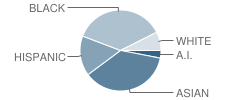 Campbell Hill Elementary School Student Race Distribution