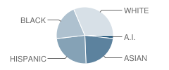 Cascade Elementary School Student Race Distribution