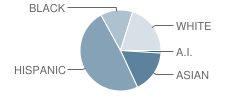 Highlands Elementary School Student Race Distribution