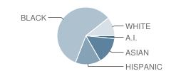 Lakeridge Elementary School Student Race Distribution