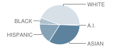 Maplewood Heights Elementary School Student Race Distribution