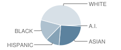 Tiffany Park Elementary School Student Race Distribution