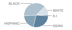 Dimmitt Middle School Student Race Distribution