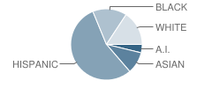 Concord Elementary School Student Race Distribution