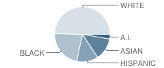 B F Day Elementary School Student Race Distribution