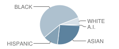 Emerson Elementary School Student Race Distribution