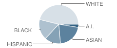 Madison Middle School Student Race Distribution