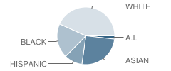 Mcclure Middle School Student Race Distribution