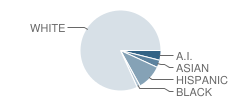 Mountain View Elementary School Student Race Distribution