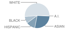 Echo Lake Elementary School Student Race Distribution