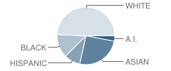 Parkwood Elementary School Student Race Distribution