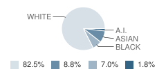 Handicapped Contractual Services School Student Race Distribution