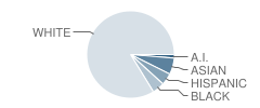 Ferris High School Student Race Distribution