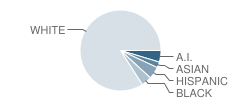 North Central High School Student Race Distribution