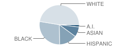 Arlington School Student Race Distribution