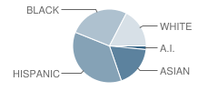 Boze School Student Race Distribution