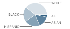 Larchmont School Student Race Distribution