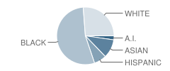 Stanley School Student Race Distribution