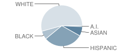 Roosevelt Elementary School Student Race Distribution