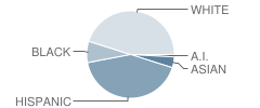 Martin Luther King Elementary School Student Race Distribution