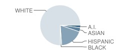 West Valley Jr High School Student Race Distribution