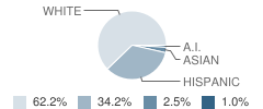 Hulan L Whitson Elementary School Student Race Distribution