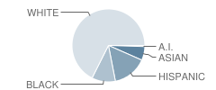 Charles Nash Elementary School Student Race Distribution