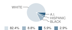 Winnebago Mhi School Student Race Distribution