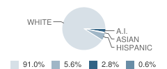 Lincoln High School Student Race Distribution