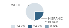 Almond Elementary School Student Race Distribution