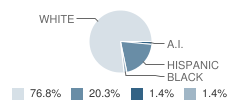 Bancroft Elementary School Student Race Distribution