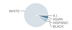 Altoona Middle School Student Race Distribution