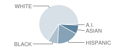 Badger Elementary School Student Race Distribution