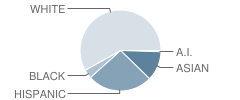 Horizons Elementary School Student Race Distribution