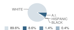 Unity Middle School Student Race Distribution