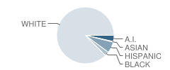 Willson Elementary School Student Race Distribution