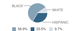 Merrill Elementary School Student Race Distribution