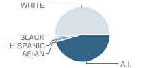 Bowler Elementary School Student Race Distribution