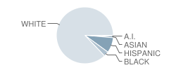 Dr Edward G Dyer School Student Race Distribution