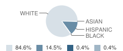 Cambria Friesland Middle / High School Student Race Distribution