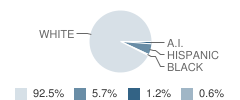 Chilton Middle School Student Race Distribution