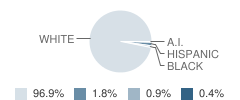 Cornell High School Student Race Distribution