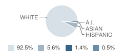 Denmark Early Childhood Center School Student Race Distribution