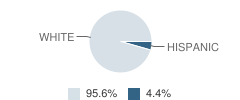 Kansasville Elementary School Student Race Distribution