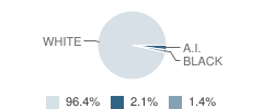 Drummond High School Student Race Distribution