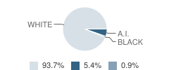 Elcho High School Student Race Distribution