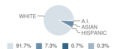 Elk Mound Middle School Student Race Distribution