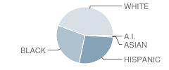 Grant Elementary School Student Race Distribution