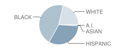 Lincoln Elementary School Student Race Distribution