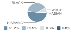 Wilson Elementary School Student Race Distribution